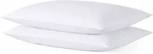 Thin Flat Slim Ultra Soft Bed Pillows Queen Size Set of 2 Pack for Sleeping Bed Pillow for Stomach Back and Side Sleepers Machine Washable 20x28 inches