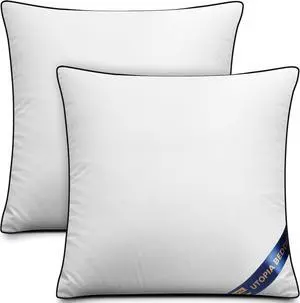 Throw Pillow Inserts (Pack of 2 White) 18 x 18 Inches Decorative Indoor Pillows for Sofa Bed Couch Cushion Sham Stuffer