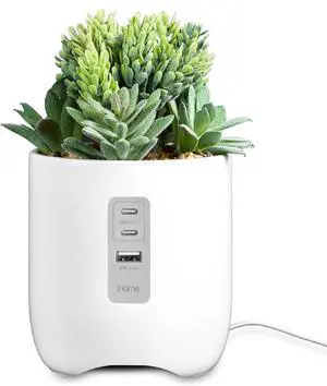 PowerPlant Charging Station Faux Succulent with USB Charging Station for iPhone Android and More  White (iPP45)