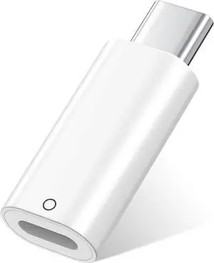 USB C to Pencil Adapter for  Pencil 1st Generation USB C Male to Lightning Female Charging Adaptor for iPad 10th 11th Generation Bluetooth Pair Connector  Pencil Charger White