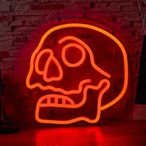 AYDCNQ 1PC Backboard Led Neon Light Halloween Skull Powered By USB