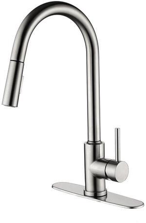 Kitchen Faucet with Pull Down Sprayer