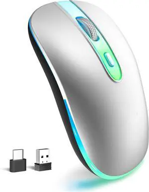 Wireless Mouse - 2.4G Ergonomic Optical LED Mouse with USB Receiver and Type C Adapter, 3 Adjustable DPI Levels 1600/1200/800 for Laptop/Tablet/Computer (Silver)
