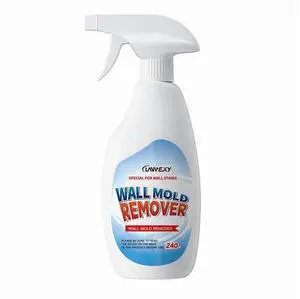 Highly effective mold removal spray - prevents mold regrowth