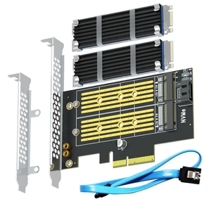 PA12-HS M.2 PCIe 4.0 X4 Adapter NVMe + SATA SSD with Heatsinks PA12-HS M.2 PCIe 4.0 X4 Adapter NVMe + SATA SSD with Heatsinks