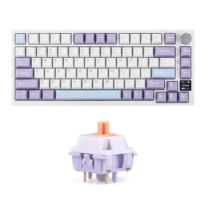 Ajazz AK820 Pro Wireless Mechanical Keyboard with TFT Display&Knob+Wisteria Tactile Mechanical Keyboard Switches Set, 5 Pin Factory Lubed 100 Pieces Switch Ajazz AK820 Pro Wireless Mechanical Keyboard with TFT Display&Knob+Wisteria Tactile Mechanical Keyboard Switches Set, 5 Pin Factory Lubed 100 Pieces Switch