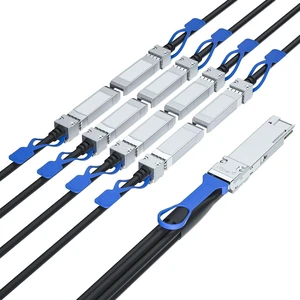 for Arista CAB-D-8S-200G-1M, 200G QSFP-DD to 8x SFP28 DAC Cable, 1m/3.3ft for Arista CAB-D-8S-200G-1M, 200G QSFP-DD to 8x SFP28 DAC Cable, 1m/3.3ft