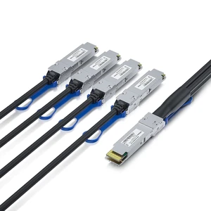 400G QSFP-DD(PAM4) to 4X 100G QSFP56, Passive Direct Attach Copper Breakout Cable for Mellanox MCP7F60-W001R31, 1-Meter(3.3ft) 400G QSFP-DD(PAM4) to 4X 100G QSFP56, Passive Direct Attach Copper Breakout Cable for Mellanox MCP7F60-W001R31, 1-Meter(3.3ft)