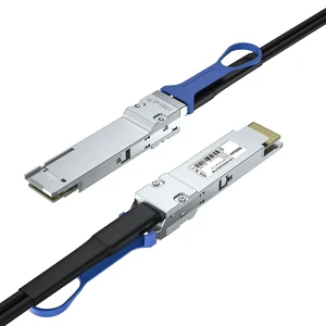 400GBASE QSFP-DD to QSFP-DD Passive Direct Attach Copper Twinax Cable for Mellanox MCP1660-W003E26, 3-Meter(10ft) 400GBASE QSFP-DD to QSFP-DD Passive Direct Attach Copper Twinax Cable for Mellanox MCP1660-W003E26, 3-Meter(10ft)