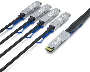 400G QSFP-DD(PAM4) to 4X 100G QSFP56, Passive Direct Attach Copper Breakout Cable for Mellanox, 0.5-Meter(1.64ft) 400G QSFP-DD(PAM4) to 4X 100G QSFP56, Passive Direct Attach Copper Breakout Cable for Mellanox, 0.5-Meter(1.64ft)