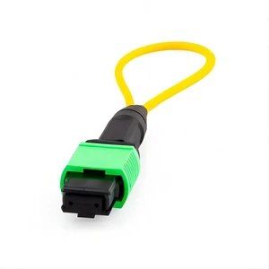 12-Core MPO Loopback Cable, OS2 Single-Mode 9/125um, Female APC Connector for QSFP+ Transceiver & Network Testing 12-Core MPO Loopback Cable, OS2 Single-Mode 9/125um, Female APC Connector for QSFP+ Transceiver & Network Testing