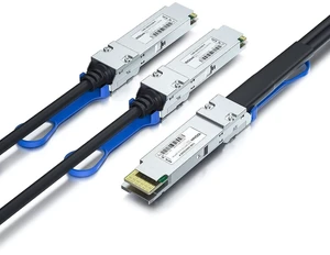 400G QSFP-DD to 2X 200G QSFP56 Twinax Breakout Copper Passive DAC Cable 2-Meter 400G QSFP-DD to 2X 200G QSFP56 Twinax Breakout Copper Passive DAC Cable 2-Meter