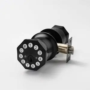 Door Knob with Keypad and Key, Keyless Entry Door Lock,Smart Digital Knob Unlock by Passcode/Keys/USB backuplock,Electronic Door Knob for Home Bedroom Apartment Garage Office Security,Black