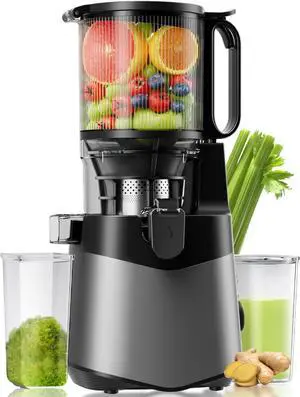 Cold Press Juicer, 5.8" Extra Large Feed Chute Fit Whole Fruits & Vegetables, 350W Slow Masticating Juicer Machines, Easy to Clean,High Juice YieldGrey