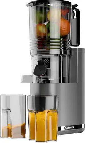 Cold Press Juicer, 6.5" Extra Large Feed Chute Juicer Machines, 350W Slow Masticating Juicer Machines with High Juice Yield for Whole Vegetables & Fruits, BPA Free, Titanium Gray, Easy to Clean