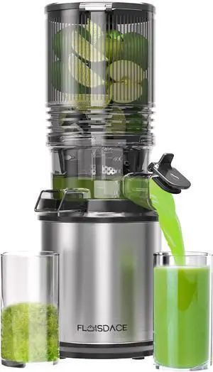 Cold Press Juicer  6.5" Extra Large Feed Chute Fit Hands-Free Electric Masticating Juicer Machine, 350W Slow Masticating Juicer Machine for Whole Fruit and Vegetables  Easy Cleanup & Assembly