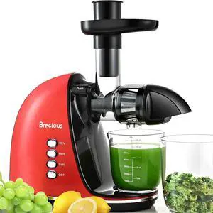Slow Masticating Juicer,Brecious Cold Press Juicers with 2 Speed Modes & Quiet Motor,Juicers Machines Vegetable and Fruit with Reverse Function,Celery Juicer,BPA-Free,Easy to Clean (Red