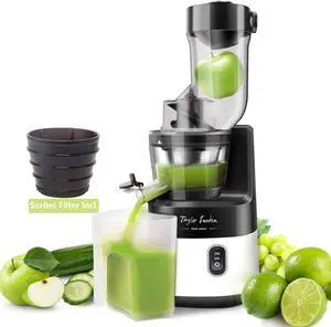 Juicer Machines, Taylor Swoden 200W Cold Press Juicer 3.4in Large Feed Chute Slow Masticating Juicer BPA-Free Juice Extractor with Quiet Motor, Easy to Clean, Recipes for Fruit, Vegetable and Sorbet