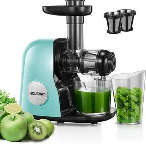 Juicer Machines, HOUSNAT Professional Celery Slow Masticating Juicer Extractor Easy to Clean, Cold Press Juicer with Quiet Motor and Reverse Function for Fruit & Vegetable, Brushes & Recipes Included