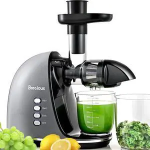 Slow Masticating Juicer,Brecious Cold Press Juicers with 2 Speed Modes & Quiet Motor,Juicers Machines Vegetable and Fruit with Reverse Function,Celery Juicer,BPA-Free,Easy to Clean (Silver) Slow Masticating Juicer,Brecious Cold Press Juicers with 2 Speed Modes & Quiet Motor,Juicers Machines Vegetable and Fruit with Reverse Function,Celery Juicer,BPA-Free,Easy to Clean (Silver)