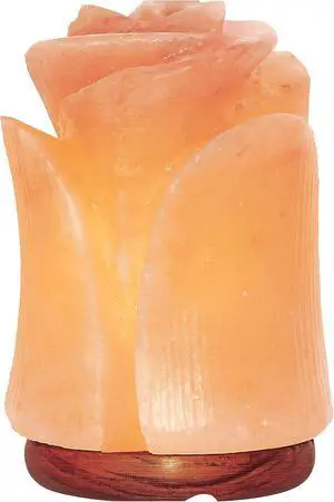 Spantik Tulip Shape Himalayan Pink Salt Lamp | Hand-Carved Rock Salt Flower Lamp | Natural Salt Night Light Desk Lamp for Home Office Decor | Himalayan Salt Lamps Sourced from Pakistan Spantik Tulip Shape Himalayan Pink Salt Lamp | Hand-Carved Rock Salt Flower Lamp | Natural Salt Night Light Desk Lamp for Home Office Decor | Himalayan Salt Lamps Sourced from Pakistan