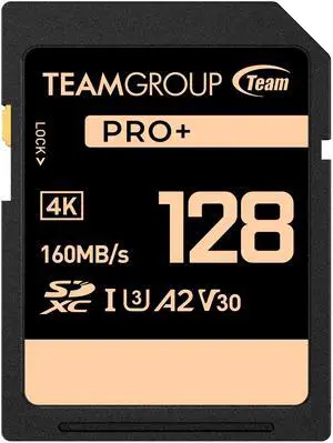 TEAMGROUP PRO 128GB UHS-I U3 A2 V30 4K UHD Read/Write Speed up to 160/90MB/s SDXC Memory Card for Professional Vloggers, Filmmakers, Photographers & Content Curators TPPSDX128GIA2V3001