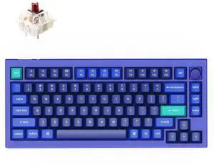 Keychron Q1 RGB Wired Custom Mechanical Keyboard Knob Version, 75% Layout QMK/VIA Programmable with Hot-swappable Gateron G Pro Brown Switch Double Gasket Compatible with Mac Windows Linux (Blue)