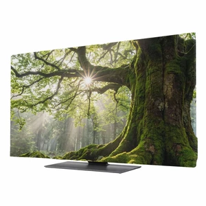 DecorLovee Ancient Tree TV Cover Indoor Elastic TVs Screen Protector, Zen Mystical Green Lush Forest Nature Monitor Covers Inside Dust Proof Slipcover, 75 Inch TV Cover for Flat or Curved TVs DecorLovee Ancient Tree TV Cover Indoor Elastic TVs Screen Protector, Zen Mystical Green Lush Forest Nature Monitor Covers Inside Dust Proof Slipcover, 75 Inch TV Cover for Flat or Curved TVs