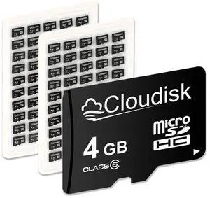 Cloudisk Pack of 100 Micro SD Card 4GB Flash Memory Card C6 Micro SDHC (4GB)
