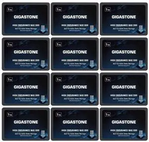 Gigastone 1TB NAS SSD Drive (12-Pack) 24/7 Durable TLC High Endurance RAID Data Storage Network Attached Storage 2.5" SATA Internal Solid State Hard Drives