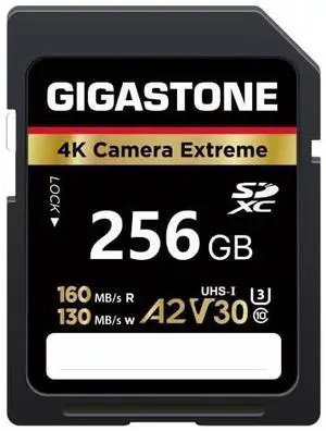 [5-Yrs Free Data Recovery] GIGASTONE 256GB SD Card, 4K Camera Extreme, A2 V30 U3 C10 SDXC Memory Card High Speed, Compatible with Canon Kodak Olympus Digital Camera