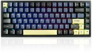 MOLGRIA G84 Compact Mechanical Keyboard, Hot-Swappable RGB Backlit USB-C Bluetooth 2.4G Wireless Connected Gasket Keyboard for Office and Home (Main Blue)