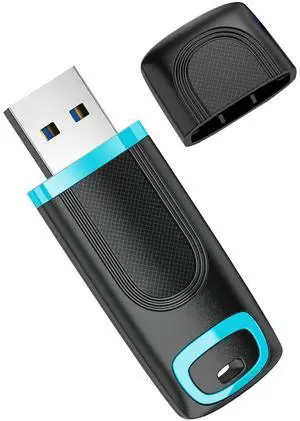 RAOYI USB 3.0 128GB Flash Drive Thumb Drive High Speed Memory Stick Jump Drive Portable Zip Drive for PC Laptop