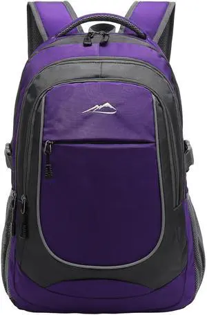 Backpack for College Sturdy Bookbag Travel Business with USB Charging Port Laptop compartment Chest Straps Anti Theft Night Light Reflective (Purple)