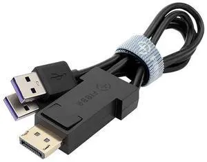 FIBBR DisplayPort to USB C Cable Adapter with Double USB Power Supply, USB 3.2 Fast Speed 10Gbps Stable Transmission for PC Laptop Gaming Monitor VR Box Glass