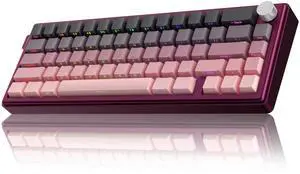KY65 Wireless Mechanical Keyboard,65% Gasket Hot Swappable Custom Keyboard,RGB Backlit,Pre-lubed Gateron Switches,Side Printed PBT Keycaps,2.4GHz/TYPE-C/BT5.0 Mechanical Gaming Keyboards, Pink&Black