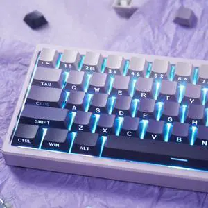 PBT Doubleshot Keycaps 133 Keys Gradient Purple Backlit OEM Profile Keycaps Side Print Shine Through Custom Keyboard Key caps Set for 60% 65% 75% 100% Cherry Gateron MX Switches Mechanical Keyboard