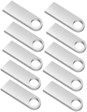 Generic 8GB Flash Drive 10 Packs, Metal USB 2.0 Thumb Drive, with Keychain USB Stick Pendant (Silver) (10Pack Sliver, 8GB)