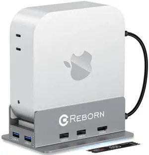 Reborn Mac mini M4 Dock & Stand with NVMe SSD Enclosure, Mac Mini M4 Hub with 4K60Hz HDMI, 4K60Hz DP, 5G USB A*2, USB A 2.0*2, TF/SD Card Reader 9-in-1 USB Hub for Mac mini M4,Mac mini M4 Pro - Silver