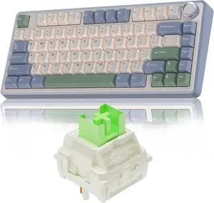 AULA F75 75% Wireless Mechanical Keyboard, Gasket Hot Swappable Custom Keyboard + LEOBOG Reaper Switches Set