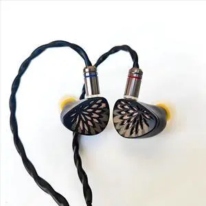 TANGZU YuXuanJi TPLX 10mm Topology Dynamic Driver in Ear Monitor Earphones, HiFi Wired Earbuds, Zinc Construction IEM Headphones (Black, 3.5mm)