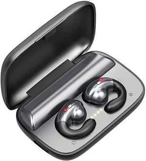 True Wireless Earbuds Bluetooth 5.0 Headphones with Wireless 2000mAh Charging Case Waterproof Hi-Fi Stereo Earphones in-Ear Built-in Mic Headset for Sport(Black)