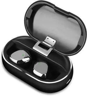 Wireless Earbuds Bluetooth 5.0 Earphones in-Ear with Charging Case Easy-Pairing Stereo Calls/Built-in Microphones/IPX5 Sweaoof/for Sports Workout Gym