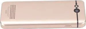 Keenso Language Translator Device with 43 Photography Languages, Great Battery Capacity Voice Translator for Students and Tourists (Gold)