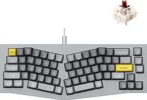 Keychron Q8 65% Ergonomic Wired Mechanical Keyboard - Hot-Swappable Gateron G Pro Brown Switch, Double Gasket Design, RGB - PBT Keycaps & Aluminum Frame for Mac/Windows/Linux (Grey)