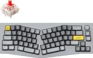 Keychron Q8 Hot-swappable Wired Mechanical Keyboard with RGB LED|Gateron G Pro Red Switch|Knob Version|for Windows and Mac|65% Alice Layout (68 Keys)|Aluminum Frame (Grey,Q8-N1)