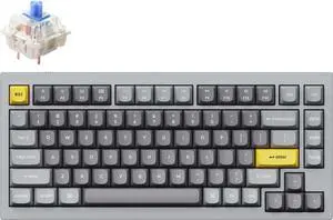 Keychron Q1 Mechanical Keyboard Grey - PH BL (Keychron Q1D2), Blue Swich