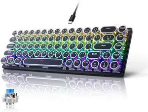 65% Wired Mechanical Gaming Keybaord, Compact 68 Keys Mini Keyboard with Arrow Keys, RGB Rainbow Backlight, Hot-swappable Switch, Retro Round Keys for PC/Laptop Gamer(Blue Switch Black)
