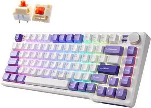 iRocks K103R Wireless Rechargeable RGB 75% Mechanical Gaming Keyboard, Hot Swappable Pre-lubed Switches, 81 PBT Keys, Gasket Mount, USB-C Detachable Cable (Lavender Purple, Bubble Switch)