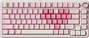 YUNZII B75 PRO Wireless Mechanical Keyboard,75% Layout with Knob,Hot Swap Gasket Custom Structure,Creamy Pre-lubed Switches,RGB Backlit,Bluetooth/Type-C/2.4G for Win/Mac(Milk Switch,Pink)